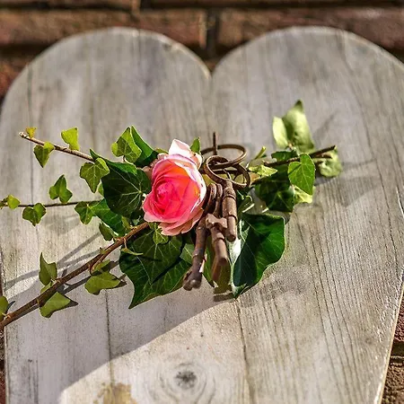 Duenenrose * Sylt