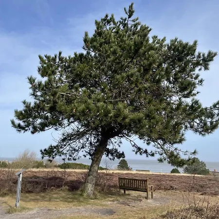 아파트 Duenenrose *